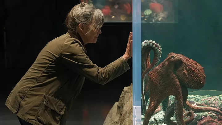 Необычайно умные создания